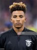 gedson-fernandes-of-sl-benfica-during-the-uefa-champions-league-group-picture-id1053884036 Thumbnail