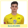 bilobrkbornaweb25.png Thumbnail