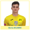 bilobrkbornaweb25.png Thumbnail