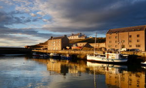 Burghead Thistle_800x480.jpg Thumbnail