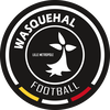 Logo_Wasquehal_Football_-_2017.svg.png Thumbnail