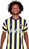 willianaraofenerbahce20222023.png Thumbnail