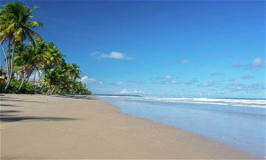 mayaro-beach-trinidad-varma-ratan_800x480.jpg Thumbnail