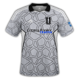 FC U Craiova 1948 - 2.png Thumbnail