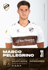 31-Marco-Pellegrino-1.png Thumbnail