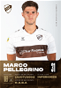 31-Marco-Pellegrino-1.png Thumbnail