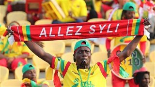 Guinea Fans.jpg Thumbnail