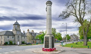 Strathspey Thistle_800x480.jpg Thumbnail