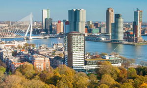 Rotterdamjpg.jpg Thumbnail