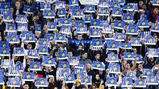 Kosovo Fans.jpg Thumbnail